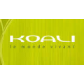 Lunettes de vue KOALI